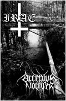 Acceptus Noctifer : Contempt and Slander